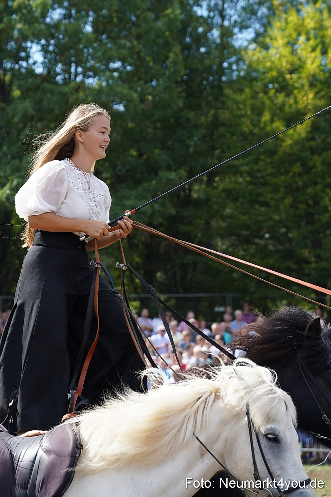 Pferde und Fohlenschau 2022 0283 